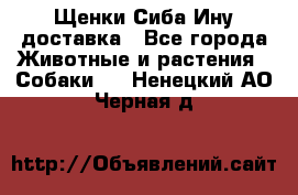 Щенки Сиба Ину доставка - Все города Животные и растения » Собаки   . Ненецкий АО,Черная д.